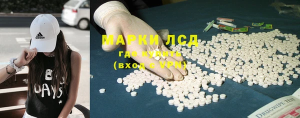 спайс Баксан